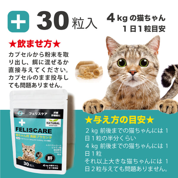 FELISCARE 貓用羊胎素 x6